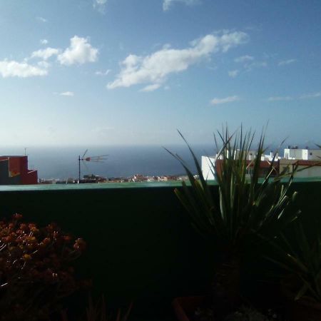 8 Calle Tangara La Gloria Santa Cruz de Tenerife Kültér fotó