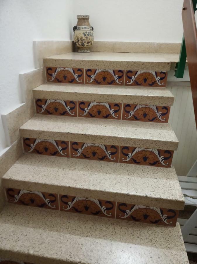 8 Calle Tangara La Gloria Santa Cruz de Tenerife Kültér fotó