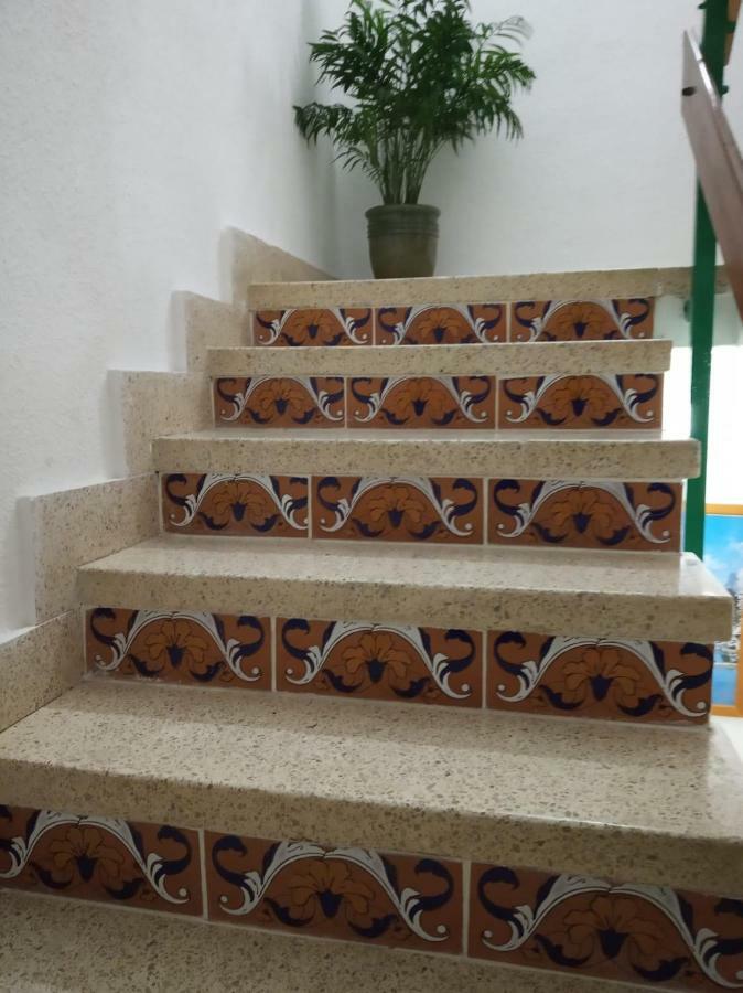 8 Calle Tangara La Gloria Santa Cruz de Tenerife Kültér fotó
