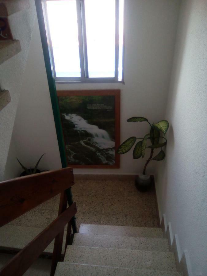 8 Calle Tangara La Gloria Santa Cruz de Tenerife Kültér fotó